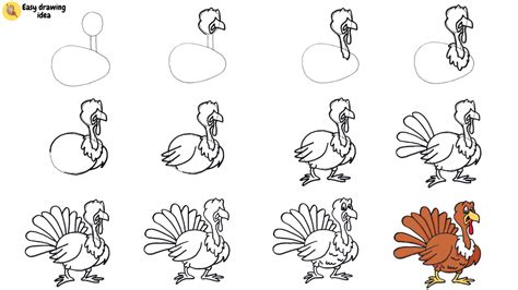 Image result for How Draw Turkey
