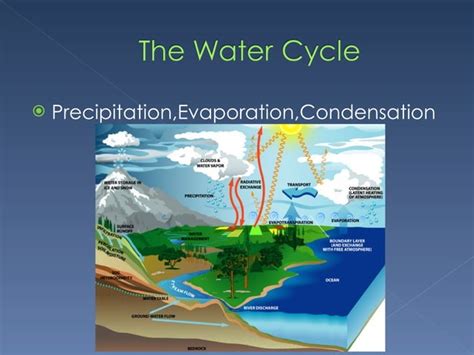 Grade 8 Science 的图像结果