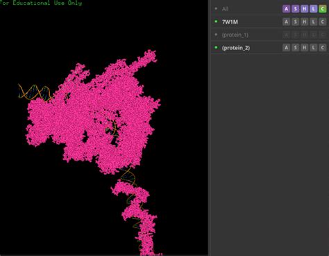 Chimerax SYM Function 的图像结果