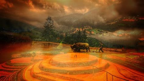 SAPA TÍNH TREKKING & HOMESTAY SA PA - Hostel Reviews & Photos - Tripadvisor