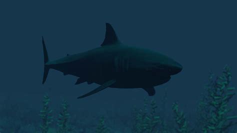 Image result for The Shark Rust Game