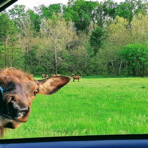 PECK RANCH WILDLIFE CONSERVATION AREA - All You Need to Know BEFORE You ...
