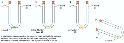 Image result for Dynamic Equilibrium Graph Chemistry