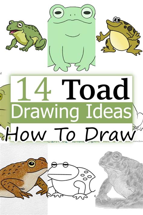 Image result for Toad Basic Drawing