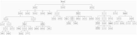 Image result for Borean Language Tree