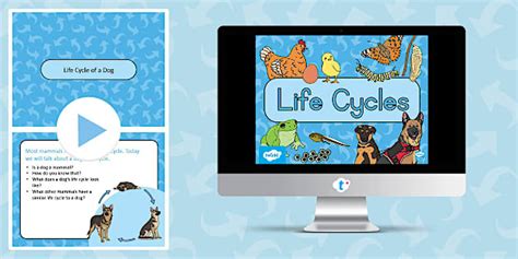 Grade 3 Life Skills T2 Life Cycles Discussion PowerPoint (CAPS)