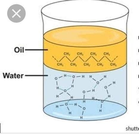 explain with help of a diagram how can a mixture of oil and water be ...