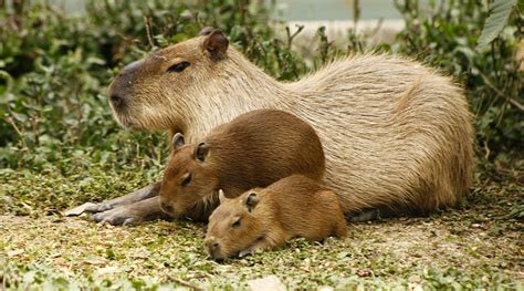 PARQUE DE LA CONSERVACIÓN (2025) All You Need to Know BEFORE You Go ...