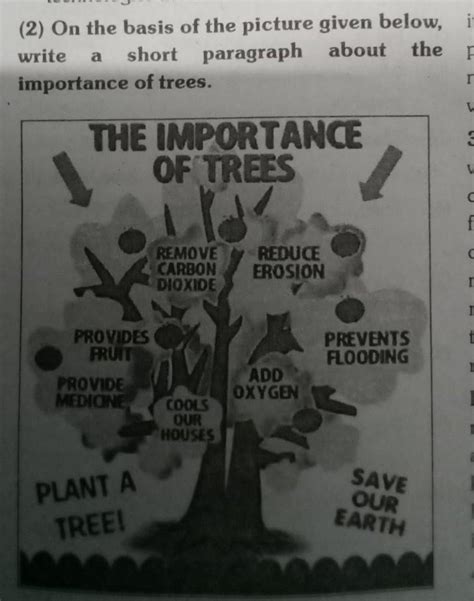 on the basis of the picture given below write a short paragraph about ...