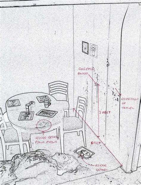 Finished Sketch Crime Scene