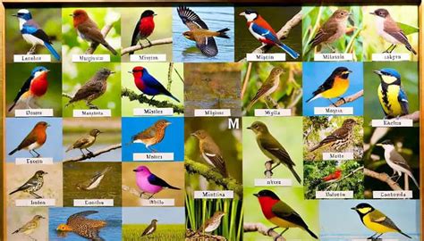 List of Four-Letter Bird Names (50+ Species To Know) - All Bird Species