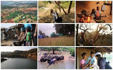 Purushwadi Fireflies Festival 2026: Just 4 Hrs From Mumbai!