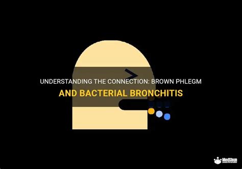 Understanding The Connection: Brown Phlegm And Bacterial Bronchitis ...