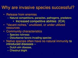 Image result for invasiveness