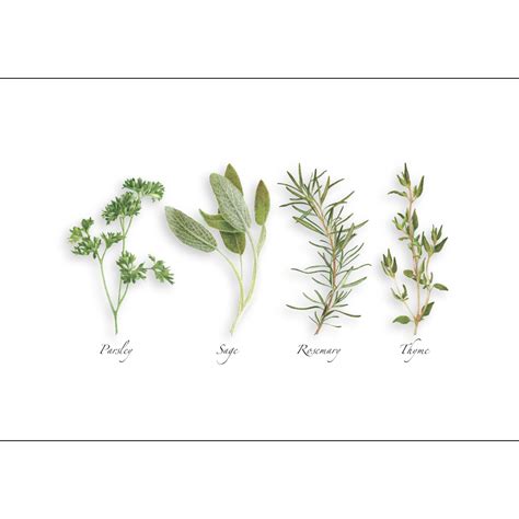 Parsley Sage Rosemary And Thyme Simon & Garfunkel Parsley Sage
