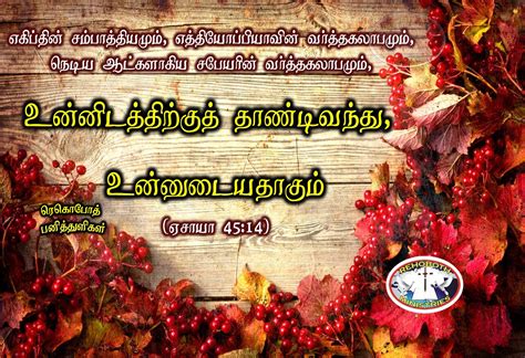 “The wealth of Egypt and the merchandise of Cush, and the Sabeans, men ...