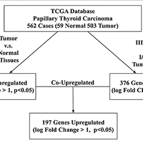 Flowchart TCGA 的图像结果