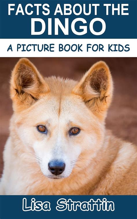 Facts About the Dingo (A Picture Book For Kids 515) eBook : Strattin ...