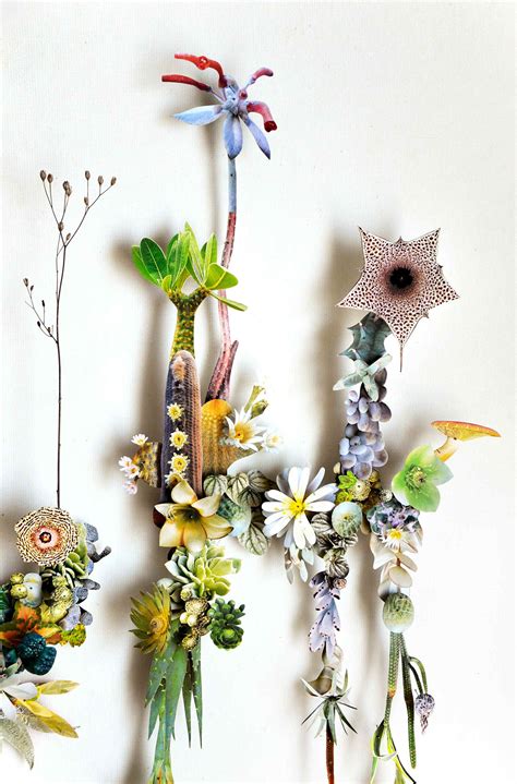 Image result for Flower Project