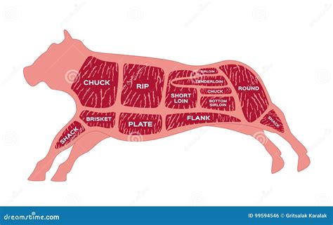 Beef Butcher Scheme. Cow Silhouette With Cutting Diagram Vector ...