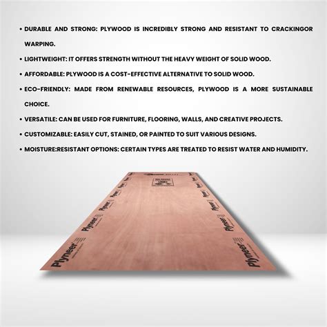 Plyneer Bullet MR Plywood – Premium Okuma Wood for Interiors