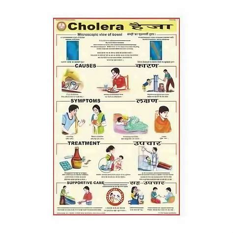Human Diseases Charts - Deficiency Diseases Charts Distributor ...