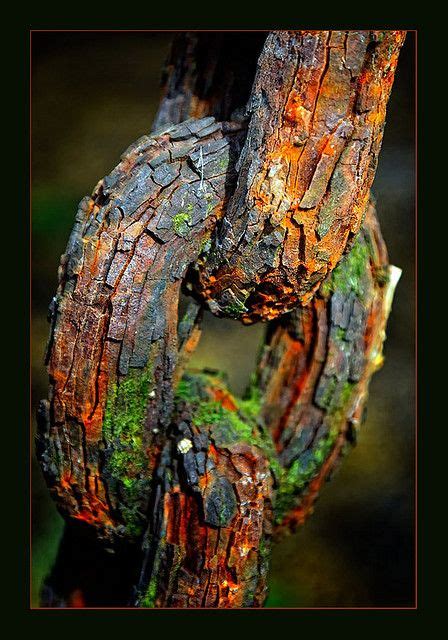 Image result for Rust Oxydation