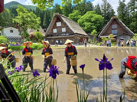 [Nagoya Departure] Takayama Old Town & Shirakawa-go Gassho-style ...