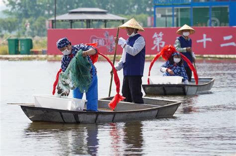 Photos Chine : récolte des écrevisses au Jiangsu — Chine Informations