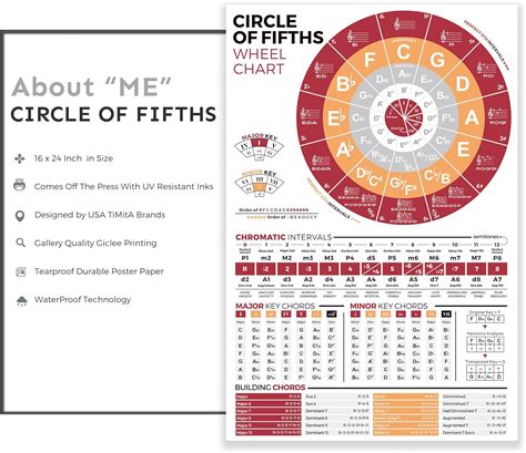 Buy Circle of Fifths Chart Poster for Guitar and Piano, Music Theory ...