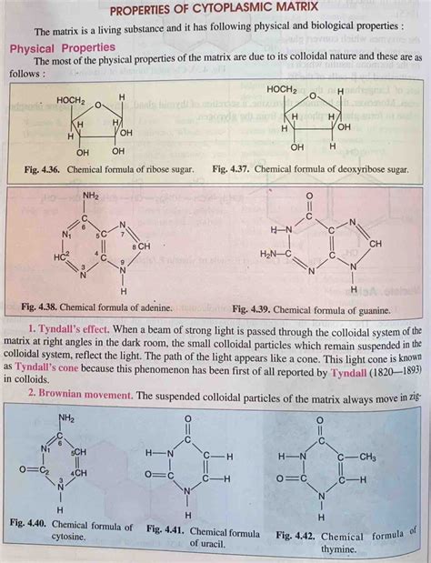 Properties Of Cytoplasmic Matrix - Bsc Nursing - Studocu