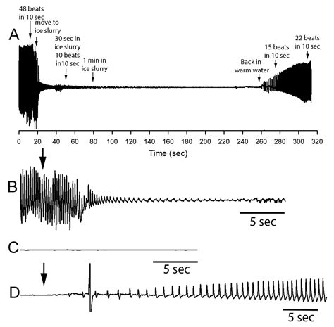 Physiological Changes as a Measure of Crustacean Welfare under ...