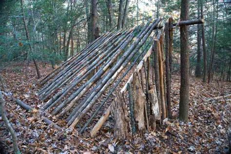 Image result for Different Types of Survival Shelters