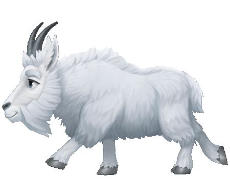 Image result for Cycle Animation Animals