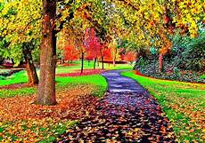 Realistic Fall Backgrounds by Nature Hd 3d Wallpapers 1080p Widescreen Wallpaper Cave Realistic Fall Backgrounds