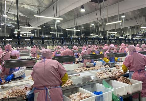 大成食品：打造“鲜食工厂”助力企业高质量跨越发展|蚌埠市_新浪财经_新浪网