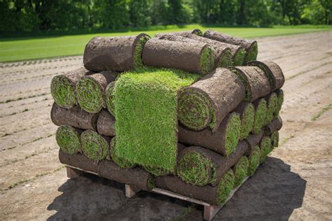 Quality grass turf suppliers in the UK - Rollaturf