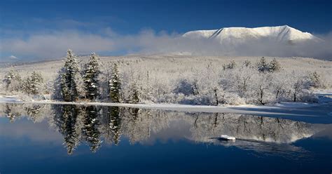 Photograph 的图像结果
