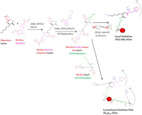 Design of Smart Nanodiamonds: Introducing pH Sensitivity to Improve ...