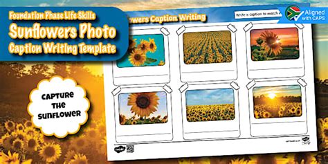 Foundation Phase Home Language - Sunflowers - Photo Caption Writing ...