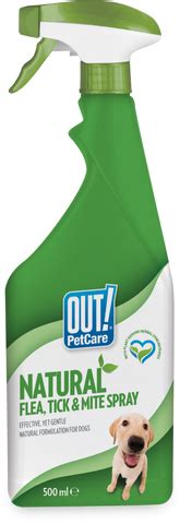 How to Protect my Dog from Fleas and Ticks – ABK Grooming