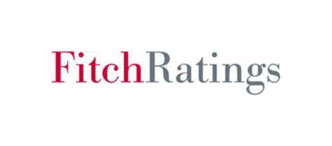 Fitch Ratings: Credit Scoring Systems