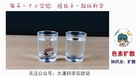 科学小实验合集