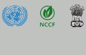 NCCF joins hands with UN and Ministry of MSMEs in celebrating the ...