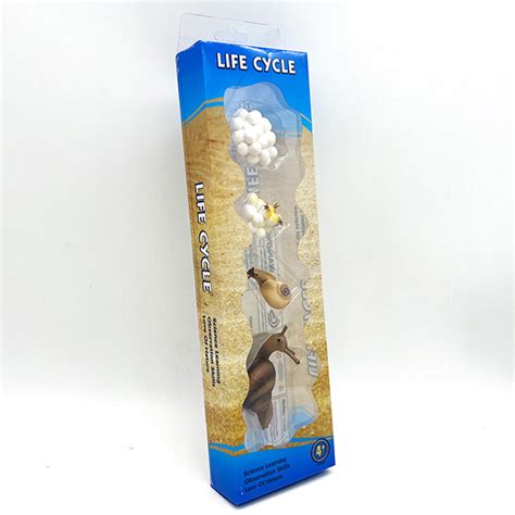 Set životni ciklus puža 4 dela 34656 | Volim svoj dom