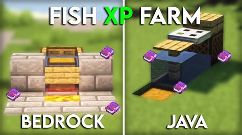 Image result for Automatic Fish Farm Minecraft Java