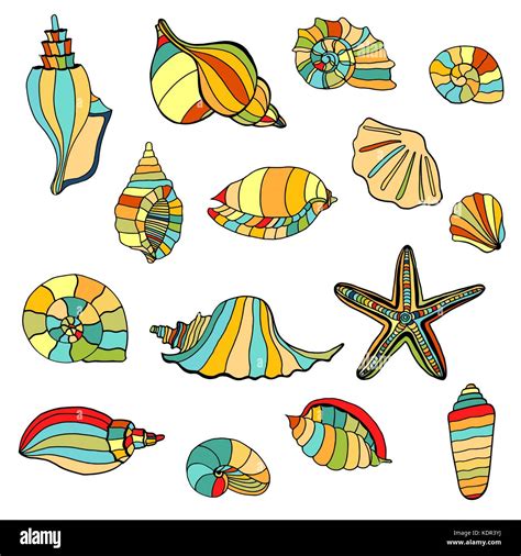 Image result for Shell Background Drawing