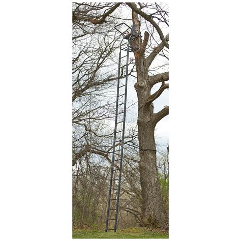 Guide Gear 25' Deluxe Double Rail Ladder Tree Stand | Ladder tree ...
