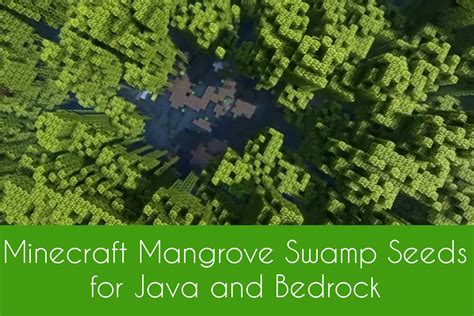 Image result for Minecraft Swamp Seeds Java