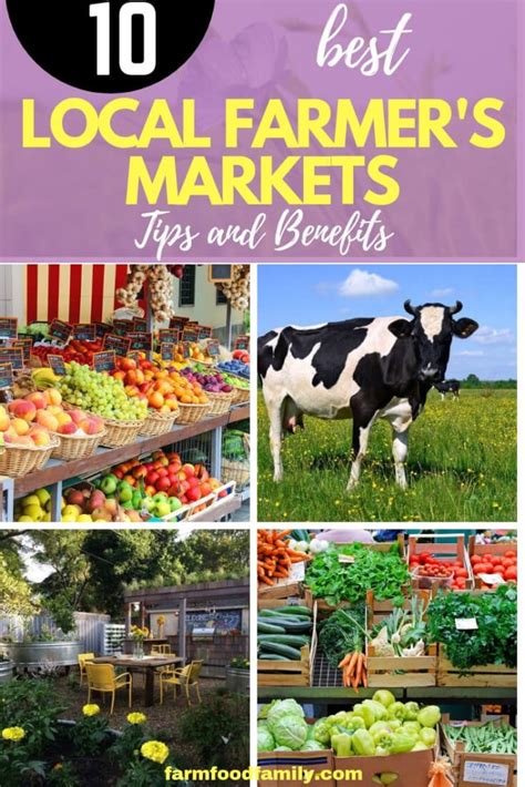 Local Farmers Markets Guide 的图像结果